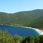 Nireaus * Chaliotata